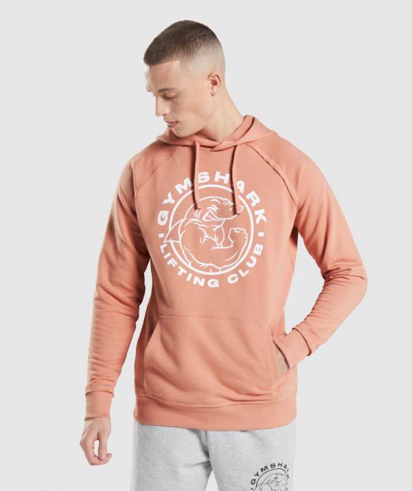 Panske Mikiny S Kapucňou Gymshark Legacy Ruzove | BN0623578